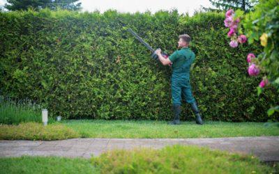Peut-on entrer chez le voisin pour entretenir sa haie en limite de propriété ?